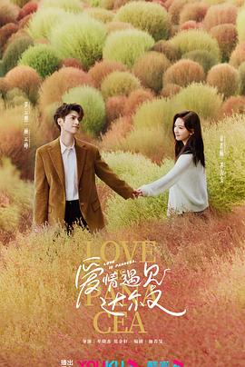 纯洁如雪的玫瑰，宛如冬日里的温暖阳光